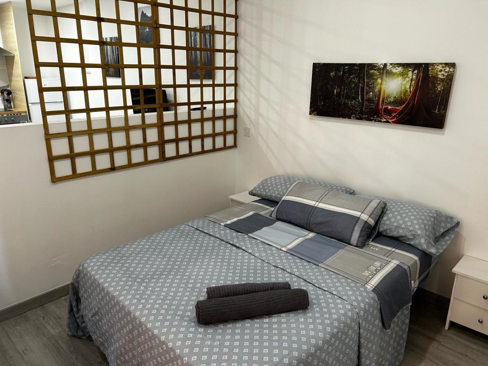 Estudio Con Bano Privado En El Centro De Appartement Madrid